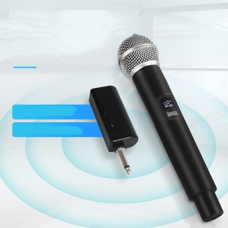 Microphone K-Chant Sans Fil Junshi avec Carte Son