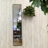 150cm x Nordic modern wooden thin made in dark W320 DBR Wall-mounted full-length mirror, 32cm, life-size, stylish, design, frame, frame, Japan,