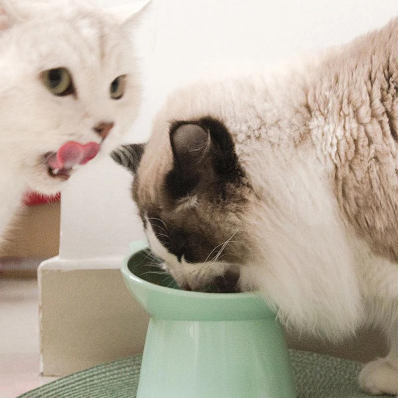 Raised Tilted Pet Food Bowl Plastic Cat Dog Feeding Bowl With Wide Rim And Stable Base For Daily Dry Food And Water Use For Home Pet Feeding Areas