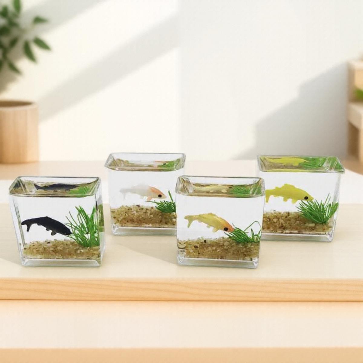

New Mini Micro Glass Fish Tank Bowl Aquarium Dollhouse Home Decor Toy Random Colors Aquarium Decor Miniature Aquarium Terrarium