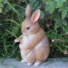 Courtyard Garden Creative Cute Rabbit Animal Ornaments Crafts Home Decorations Decorative Ornaments Elegant Room Decorations