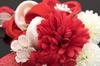 [SOUBIEN] (Soubien) Hair Ornament Set (2 pieces) for Coming-of-Age Ceremony and Graduation Ceremony: Red and White Camellia, Ping Pong Chrysanthemum