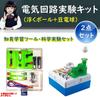 UTST Electrical Experiment Electronic Circuit Kit, Craft Kit for Kids, Science Experiment, Circuit Experiment (Float)