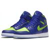 Air Jordan 1 Retro High Concord 705300-407