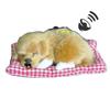 Dog Plush Sleep Toy Model Ornament Make Sound Lifelike Simulation Doll Gift