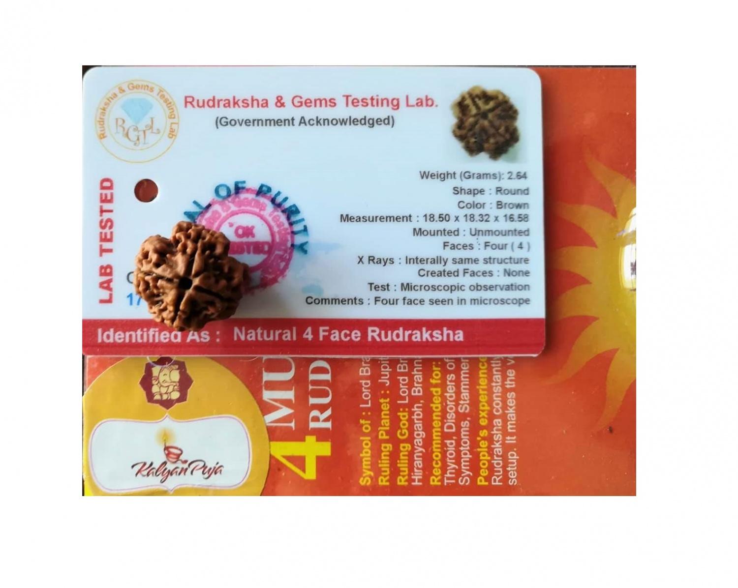 Рудракша сертифицированная (4 мукхи), 4 Mukhi Certified Rudraksha (Nepal), Kalyan Puja