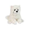 Opo White Pomeranian 11.5