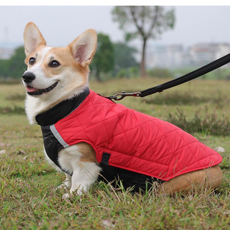 Winter Warm Pet Dog Jacket Reflective Dog Clothes Thickened Pet Coat for Small Medium Large Dogs Puppy Costumes with D-ring