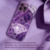 Wealth Hot-selling New Exquisite Protective Case Phone Case Metallic Paint PhoneCase for iPhone 17 16 15 14 13pm Pro Plus