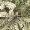 European Style Flocked Christmas Tree with Minimal Snow for Living Room Decor