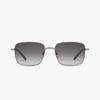 Hwillaaiweeo Metal Sunglasses (Fls7487 Shinygun 55)