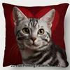 1 Pillowcase, 2D Flat Printing, Single-sided Print, No Pillow Insert, 17.72 X 17.72 Inches (45 X 45cm), Not Real Embroidery, American Shorthair Cat Va