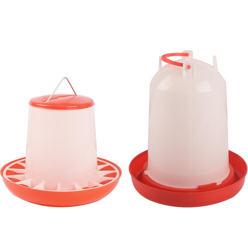 Automatic Chicken Feeder & Drinker Set: Feed Bucket & Trough for Chicks