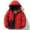 Spring and Autumn New Hooded Jacket Couple Outdoor Mountaineering Jacket Waterproof and Windproof Cotton-padded Coat