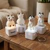 Glowing Animal Sound Light Fidget Keychain Rechargeable Fidget Button Key Chain  Backpack Pendant