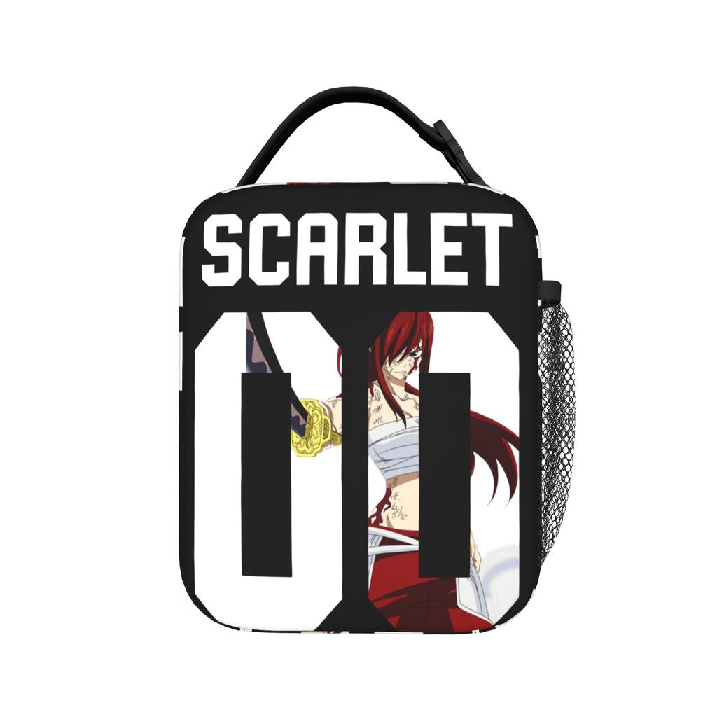 Fairys Tails Insulated Lunch Bags Large Anime Lunch Container Thermal Bag Lunch Box Tote Travel Food Storage Bags