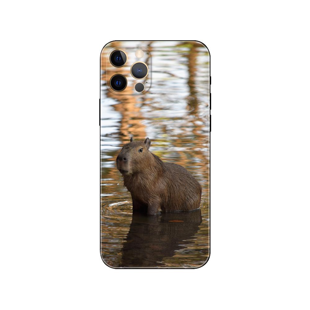 Capybara pouzdro na telefon pro iPhone 5 5s 2020se 6 6s 7 8 plus x 10 XR XS 11 12 13 mini pro MAX černý zadní kryt TPU