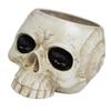 Resin Skull Shaped Flower Pot Gothic Succulent Planter Holder Ornament for Home Office Decor