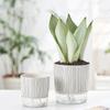 Double Layer Flowerpot Self-Watering Planters Minimalist Hydroponic Flower Pot Succulent Pots Home Decor Gardening Supplies
