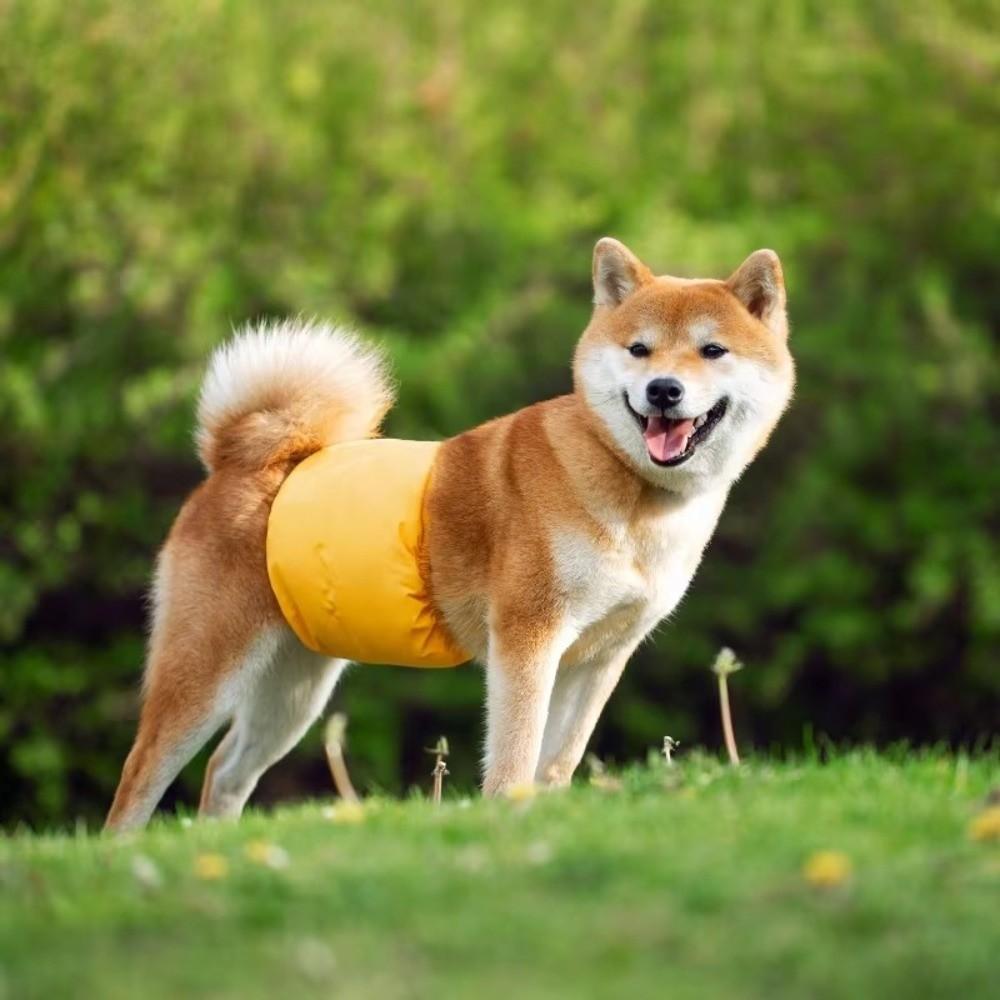 Wiederverwendbare Hundewindeln für Rüden Waschbare Wickel Hundewindeln Neue Bauchbänder für Hunde Kleine Große Hunde