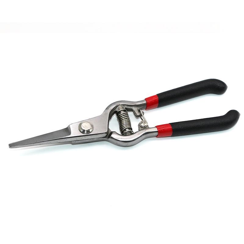 Spring Pruning Shears: Bent Beak for Garden, Orchard, and Flower Branches