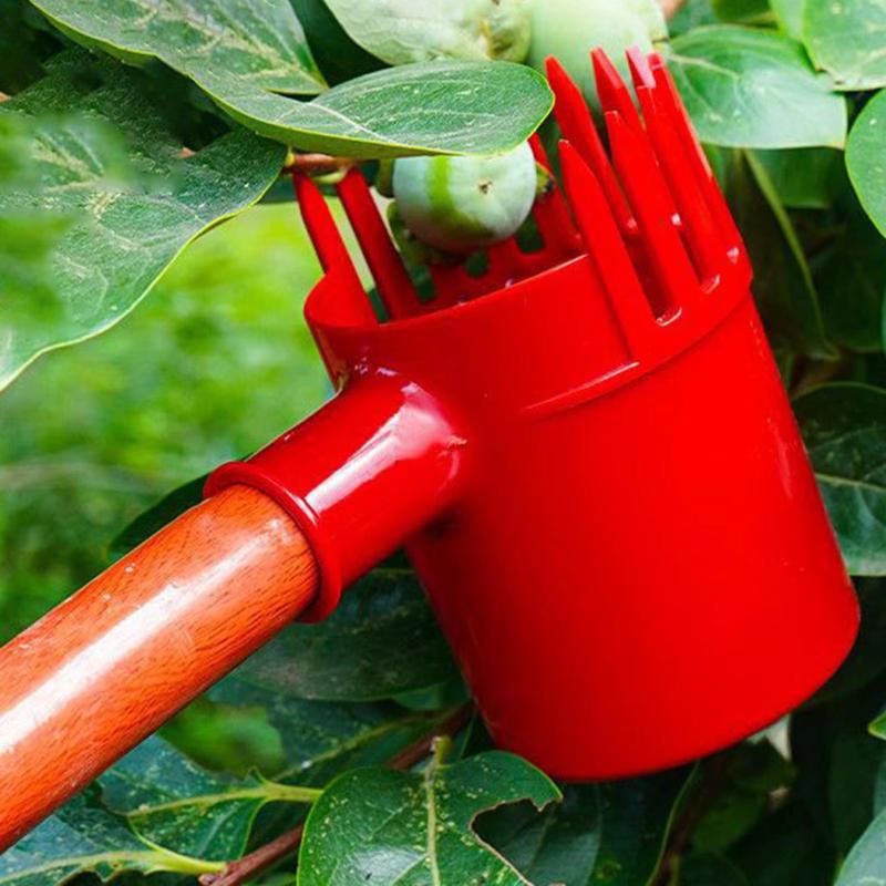 Jujube Picker Small Fruits Harvesting Farm Agricultural Jujube Picking Tool Farm Agricultural Jujube Picking