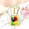 Retro Geometric Glass Dome Greenhouse: Creative Micro Landscape Decorative Vase for Home and Coffee Shop.