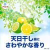 Ariel Liquid Laundry Detergent, Super Antibacterial Premium, Indoor Drying, Super Deodorizing, Sun-Drying-Level Refreshing Scent, 2210g Large Capacity