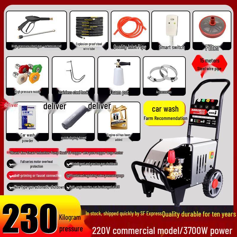 Black Cat Duke High-Power Pressure Washer CN plug (adapter included)