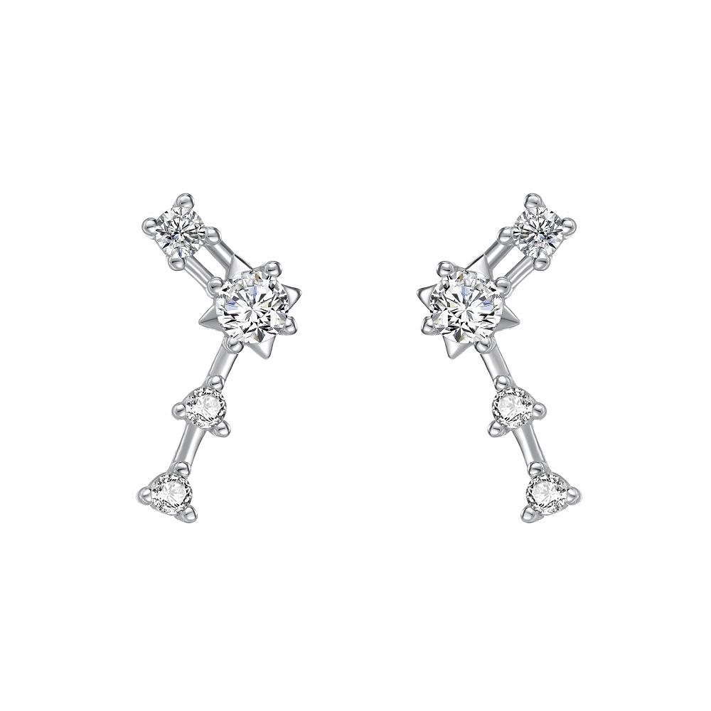 Korean Fashion Twelve Constellation Earrings for Women S925 Sterling Silver Exquisite Sparkling Zircon Earrings