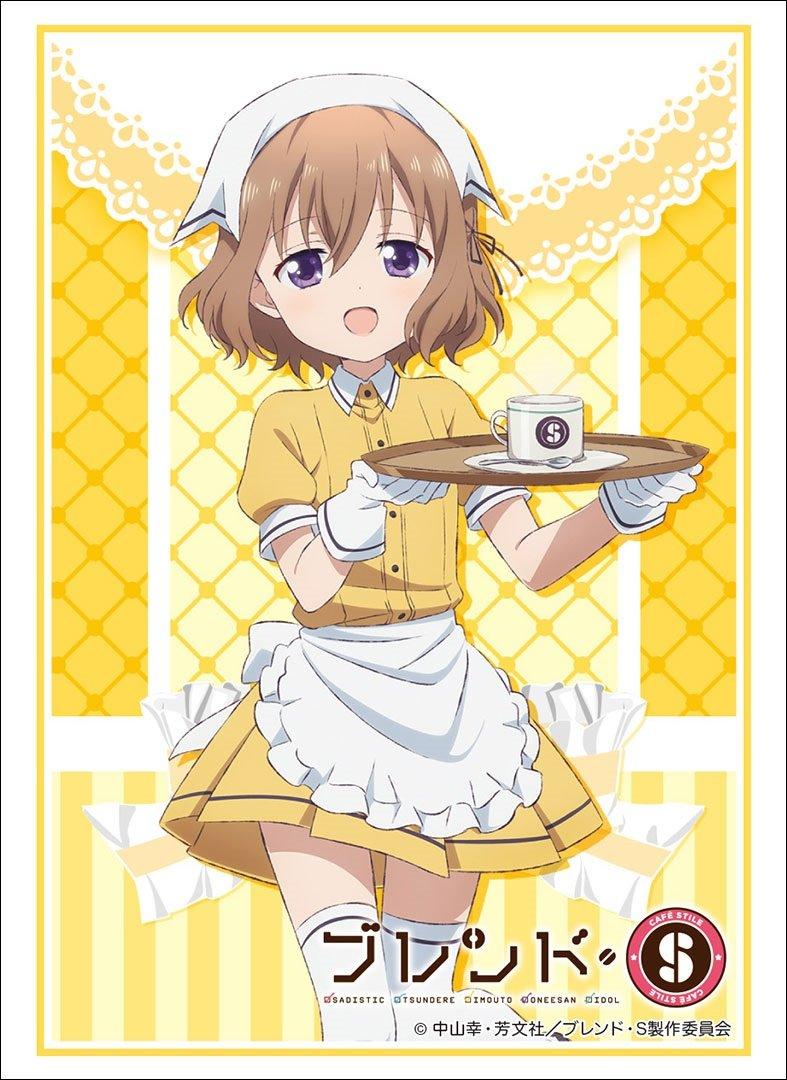 

Bushiroad Sleeve Collection High Grade Blend S Vol.1488 Hoshikawa Madoka Part.2