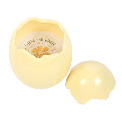 Something Different Citrus & Ginger Egg Shaped Scented Candle