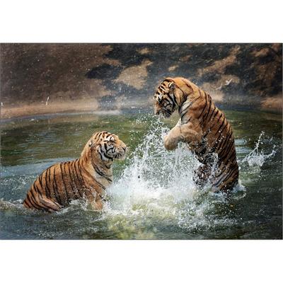Puzzle Korea Tigers' Water Play Jigsaw Puzzle 3115, 1000 Pieces, Mixed Colors, 1000 Pieces Jigsaw Puzzle, Childrens Games, Educational Toys