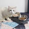 Dog for Cat Bowls with Raised Stand Pet Water Feeder 15° Tilted Platform Non-slip Drinking Dispenser Puppy Kitten 6XDE