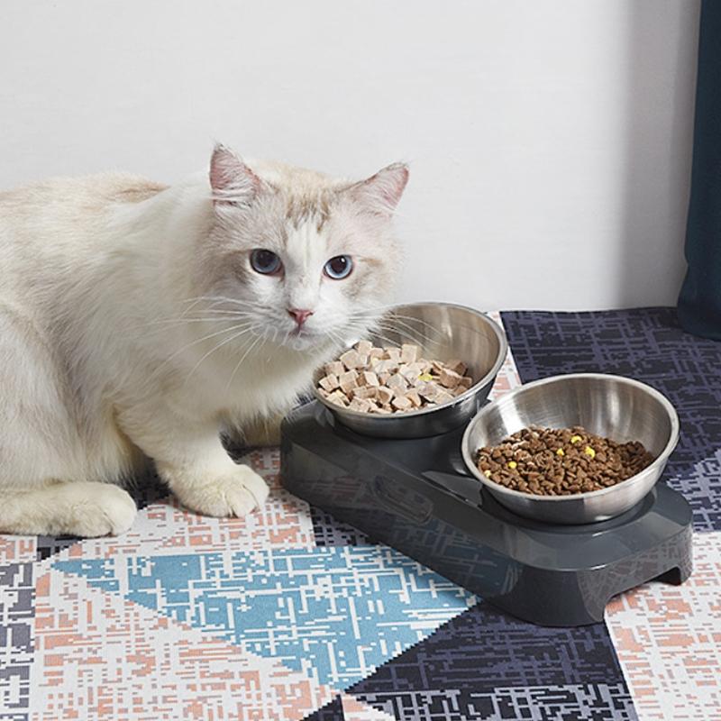 Dog for Cat Bowls with Raised Stand Pet Water Feeder 15° Tilted Platform Non-slip Drinking Dispenser Puppy Kitten 6XDE