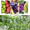 Grapes 50/100Pcs Protection Bags Fruit Vegetables Nonwoven Fabric Mesh Net Anti-Bird Insect Prevention Cover Garden Supplies