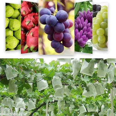 Trauben 50/100 Stück Schutzbeutel Obst Gemüse Vliesstoff Mesh Net Anti-Vogel Insekten Prävention Abdeckung Gartenbedarf