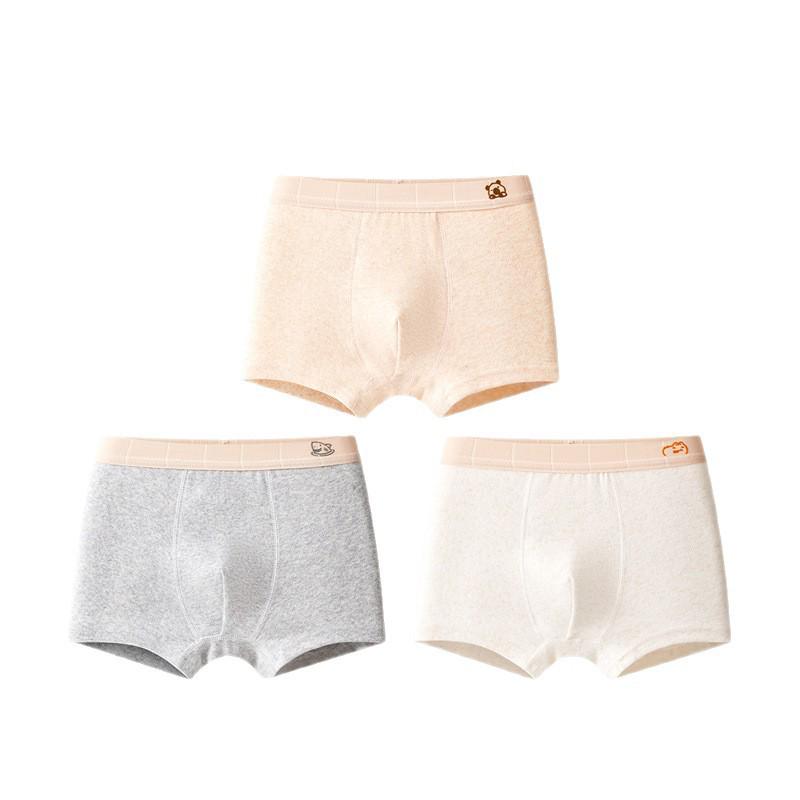 Teen Boys' Pure Cotton Class A Boxer Briefs, Big Size