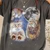 Drei Manul Katze Retro Grafik T-Shirt, Vintage Pallas Katze Mond Shirt, Oversized Wildkatze Tee, Lustiges Exotisches Tier Oberteil, Katzen Geschenk für Ihn
