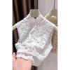 Brushed Lace Sleeveless Vest Women's Spring and Autumn Fake Collar New Inner Layering Shirt