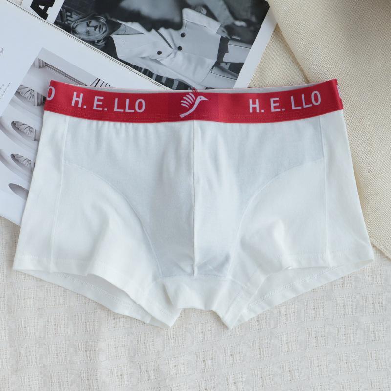 Cotton Boxer Men Underwear Hot New Boxershort Mens Boxers Man Cuecas Masculina Size L-3XL