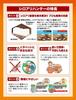 Anchor Disinfectant Anchor Termite Hunter for Business 15 Pieces Use,