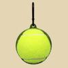 Portable Tennis Ball Holder Convenient Pet Ball Holder with Hands Free Dog Leash Attachment for Active Pets Easy Install