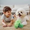 Köpek – Köpek oyuncakları