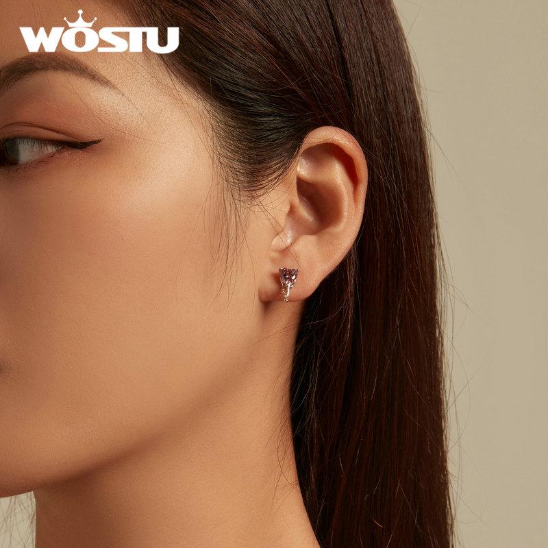 WOSTU 925 Sterling Silver Pink Crystal Heart Stud Wedding Earrings For Women Shiny Zircon Drop Tassel Earring Valentine Jewelry