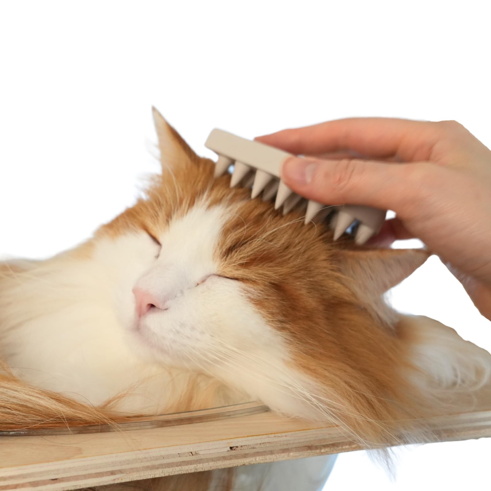 

COTCAT Силиконовая Щетка для Кошек [Щетка, приятная для кошек] СПА/Кошачья Щетка/Резиновая Щетка/Домашнее Животное слоновая кость