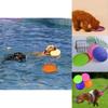 Vibrant Silicone Pet Dog Frisbee For Large Dog Outdoor Training And Fun Play