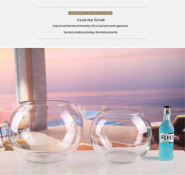 Großer Klarglas-Fisch- und Schildkrötenbehälter - Kreatives Hydroponik-Feng-Shui für Schreibtisch oder Wohnzimmer