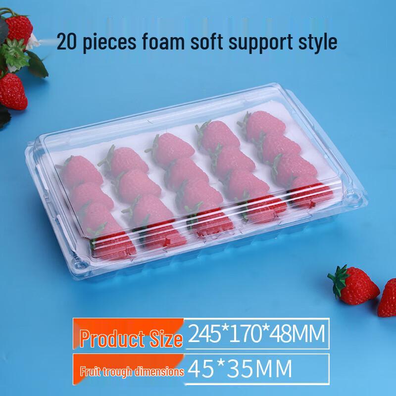 Disposable Transparent Plastic Strawberry Box with Foam Trays
