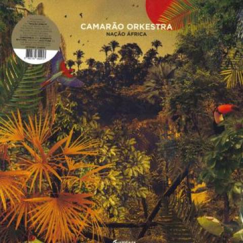 

LP Record CAMARAO ORKESTRA - Nacao Africa FVR162LP Favorite 2020 Europe Soul/Funk